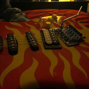 Meet your Posher, Landon